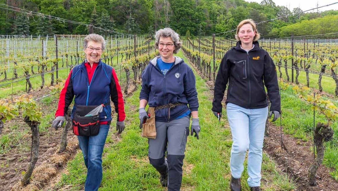 Impressionen vom Weingut Matyas in Coswig/ Sachsen